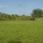 Plot of land for sale.-