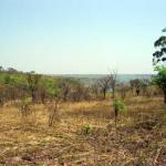 Development Land Virgin Land Property In The Most Productive Zone Of Angola-