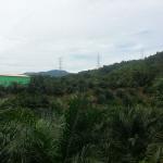 LAND-