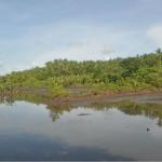 Fishpond for sale-