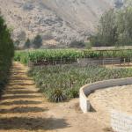 Beautiful Ranch For Sale in Cieneguilla Peru-Land in Peru