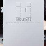 Aluminum single panel with PVDF Coating-WTS-AL3025