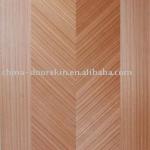 wood skin veneer door-RV-001