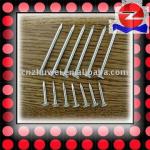 Hot dipped galv.Clout nails Good quality-2.8-3.2mm