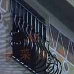 Wrought iron window fence-NC-nw041