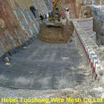 High Quality Uniaxial Geogrid(TGDG) prevent road cracking project-TS-TGDG1