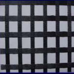 Polyester Geogrid-