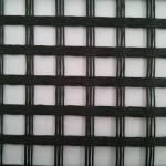 Polyester Geogrid 30KN-PET