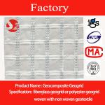 Geocomposite geogrids-SZ-CGNT-50/140