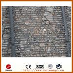 Tensar Geogrid/HDPE Uniaxial Geogrid for Construction with Cheap Price and CE Certification-TGSG038