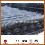 PP Geogrid Fabric-TGSG064