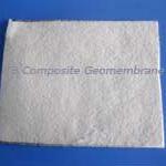 Composite Geomembrane-