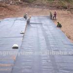 0.25mm,6mx100m/Roll,26,000sqm/40HC,HDPE Membrane-JRY-GE