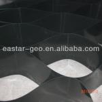 HDPE geocell-TGSG