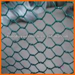China Hebei Anping low price galvanized crawfish nets/PVC coating crawfish nets-Chicken Wire 01