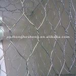 Hexagonal Wire Netting,-DY100*120