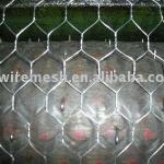 Zinc coated Gabion mesh-HRTL-0033