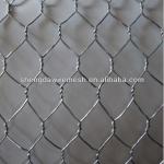 Hexagonal Wire Netting Mesh(Reliable supplier)-SD-0011