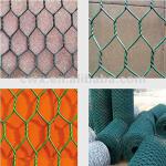 The best price for hexagonal wire mesh-CWX0102