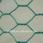 beautifying galvanized and pvc coated hexagonal wire mesh (factory)-