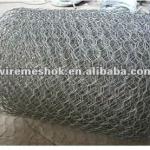 Stainless Steel Hexagonal Netting-