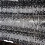 Hexagonal Wire Netting Manufacturer-HD-MESH