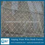 Export High Quality Stone Cage Netting-GDXI