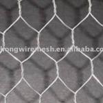 Hexagonal Wire Netting(Galvanized)-DH-31