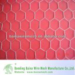 hexagonal wire mesh for gabion box for river bank-BN1128