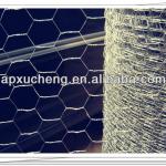 PVC coated/Galvanized hexagonal wire mesh manufacture(ISO factory)-xc20227