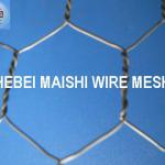 galvanized hexagonal wire mesh-MS-HWM
