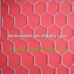 Galvanized hexagonal wire mesh-CH-LJ