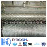 Hexagonal wire mesh (Made in China,SGS,ISO9001)-HQ-HWM001