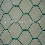 PVC Coated Hexagonal Wire Netting-DY100*120