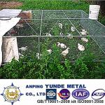 poultry netting/chick net/hexagonal wire mesh netting-YD-CL-01