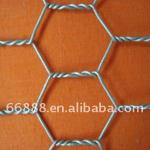 Galvanized and PVC coated Hexagonal Wire Mesh from direct factory-