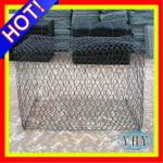 Galvanized Hexagonal Wire Netting (PVC Coated Hexagonal Mesh)-HWN-201308100952