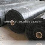 PP or Polyester filament woven geotextile-