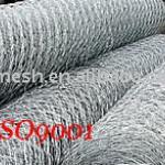 Gabion Mesh-