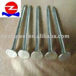 FROM ZW Danica Clout head galvanized nails-0.75-2.5inch