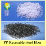 PP Resemble Steel Fiber-