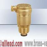 automatic air vent valve-A-8198