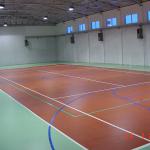 L&#39;unicflex Polyurethane Sports floorings-