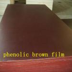 1250x2500x18mm Vietnam hardwood core brown film faced plywood for Turkey-CPFFP1
