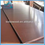 waterproof concrete plywood panels-BTFF-0142