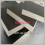 High quality china 18mm shuttering plywood specifications-QFFP-81