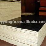 phenolic plywood film faced plywood,concrete formwork wood-1220*2440