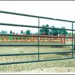 p-l48 new style A1 quality powder coated horse gate-