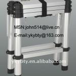 Telescopic Ladder-YB-801S