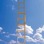 FRP ladder-0012